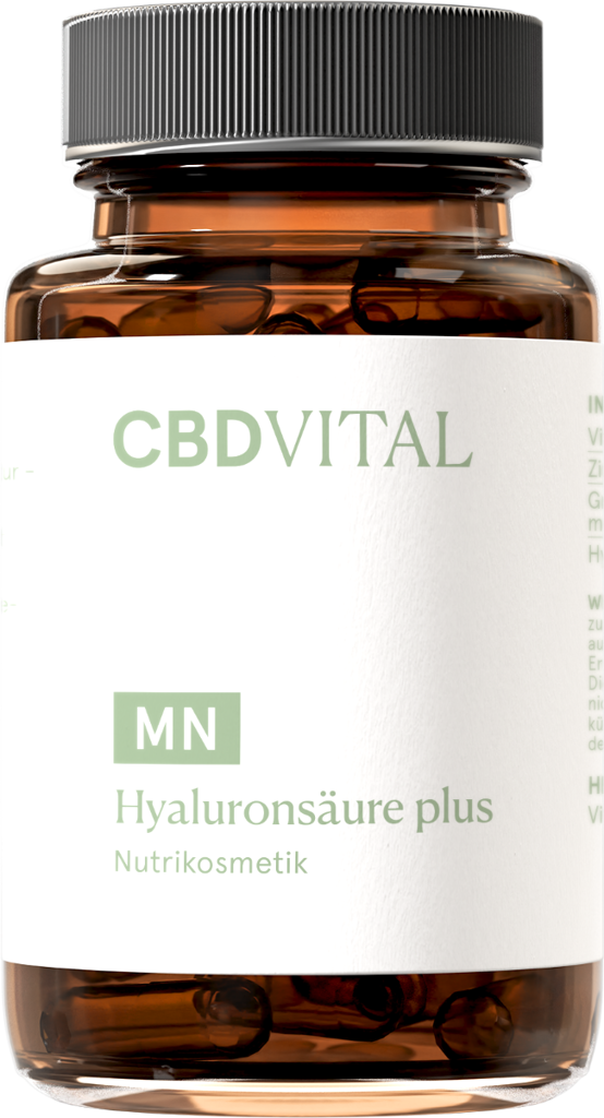 Hyaluronsäure plus